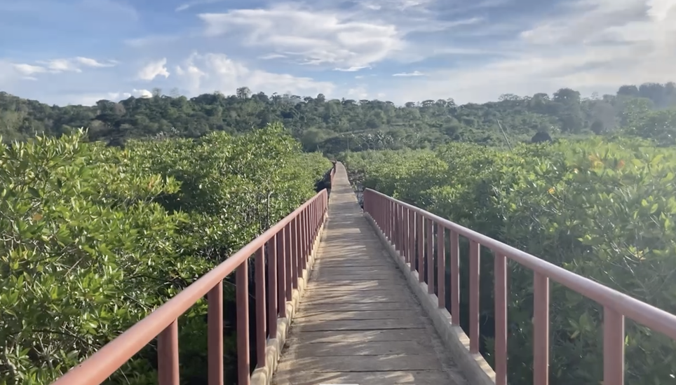 Carbon Dilemma: Stand By or Push? — Malaysia Context