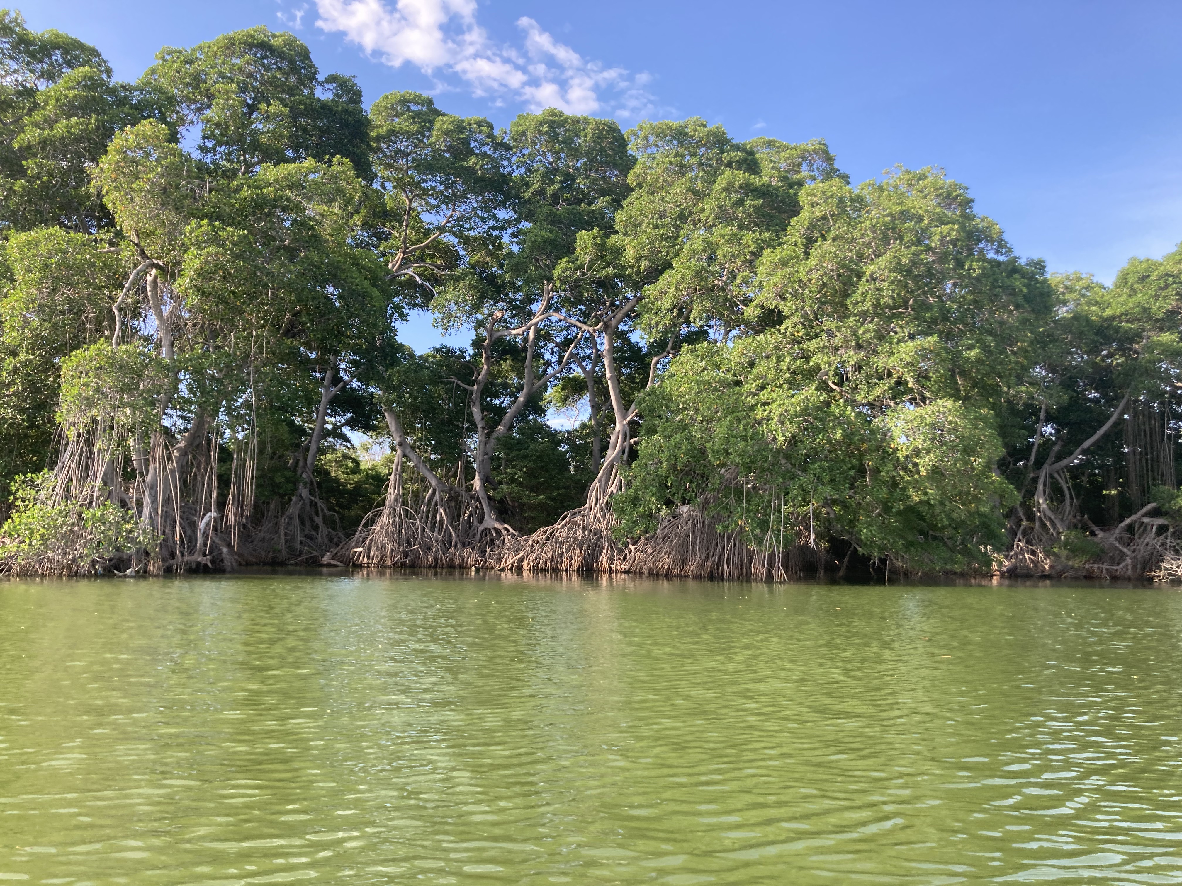 Cienaga Grande, Colombia